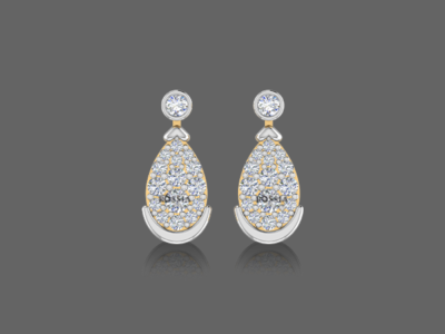 Savoir Faire Earrings